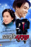 Besdoung Socola 50